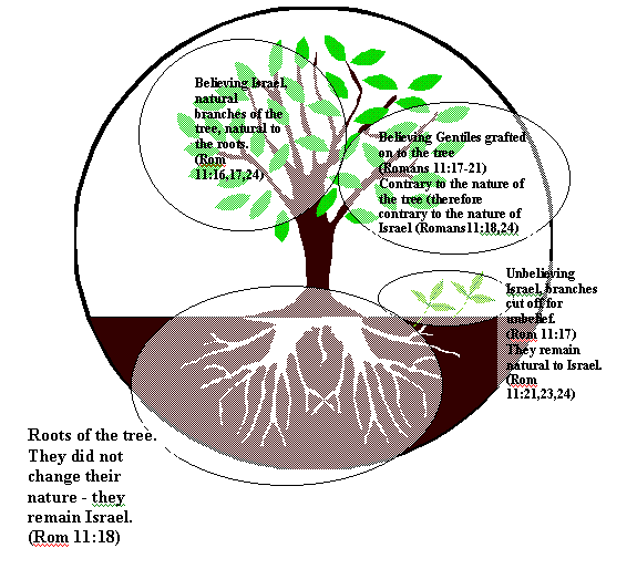 What are Gentile Hebraic Roots?